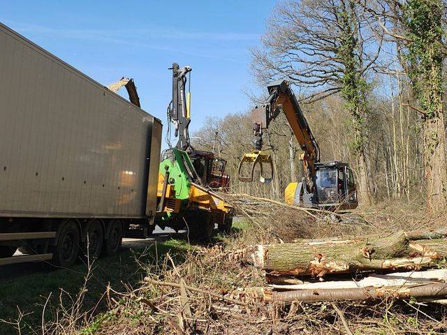 Broyage-bois-energie-en-plaquettes-forestieres-tournan-en-brie-640w