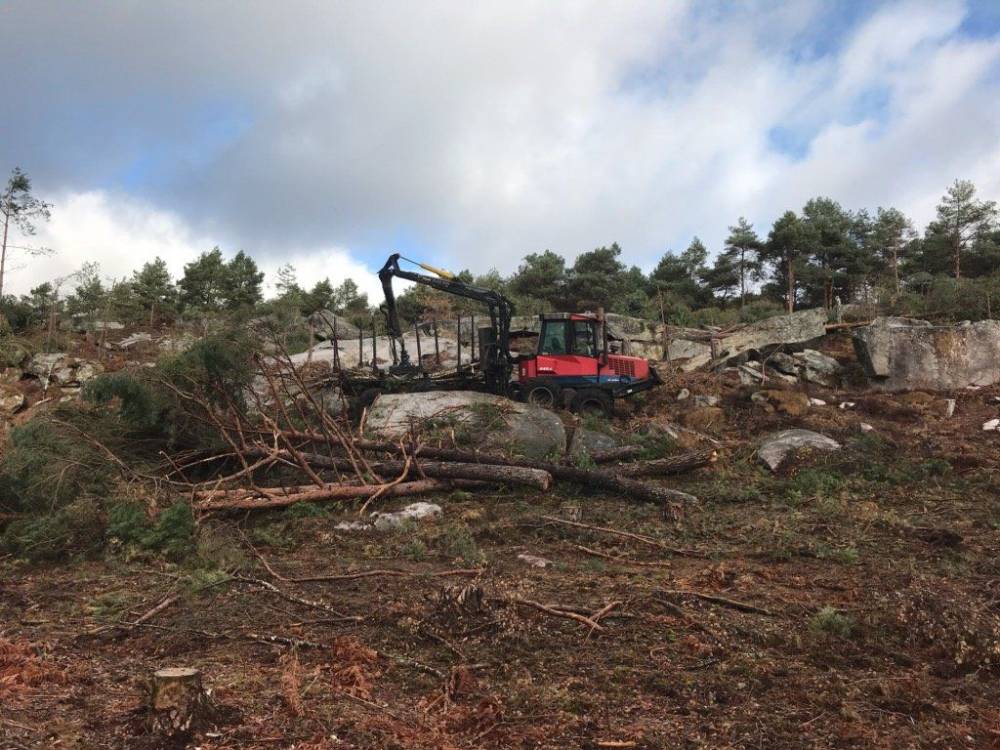 Debardage_forestier_tournan-en-brie-1280w
