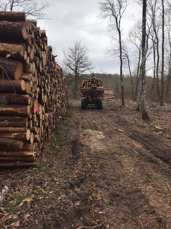 Débardage_Forestier-Courpalay-640w