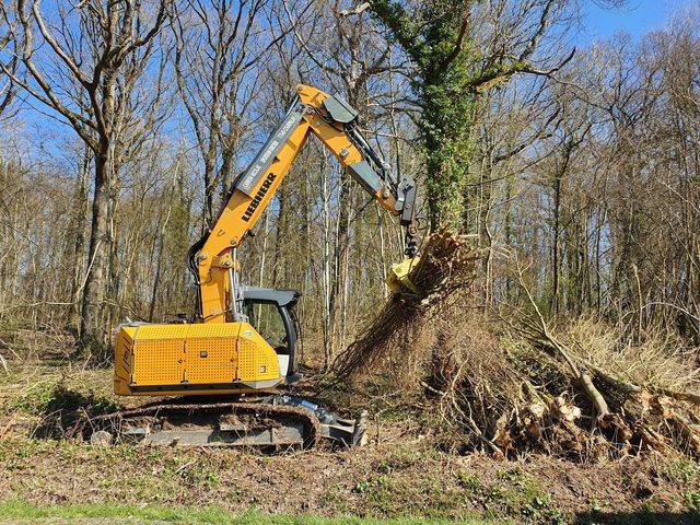 Pelle_Forestiere_pour_Bois_Energie-640w